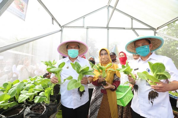 urban farming kota bandung-1