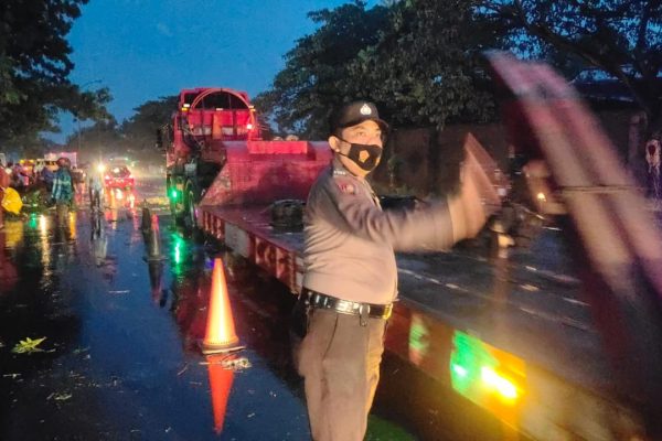 Polri Beserta BPBD Evakuasi Pohon Tumbang yang Sempat Tutup Akses Lalu Lintas di Desa Pilangsari