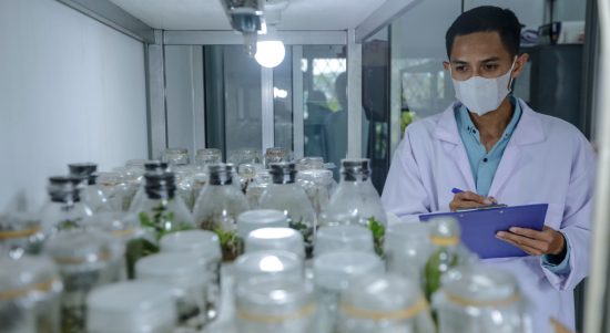 3 Anggrek Hibrida Baru Berhasil Dikembangkan Guru SMKN 4 Padalarang