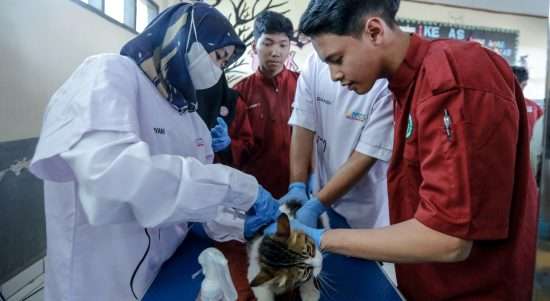 Vet & Food Festival 2023 Hadir di SMK Peternakan Negeri Lembang